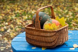 La huerta en noviembre