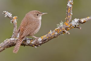 La huerta en noviembre