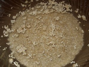 Asado de coles de Bruselas y quinoa