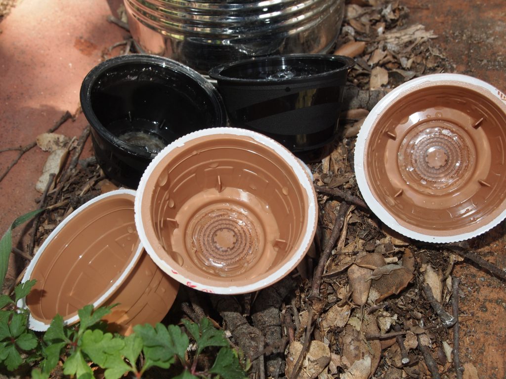 Semilleros con cápsulas de café
