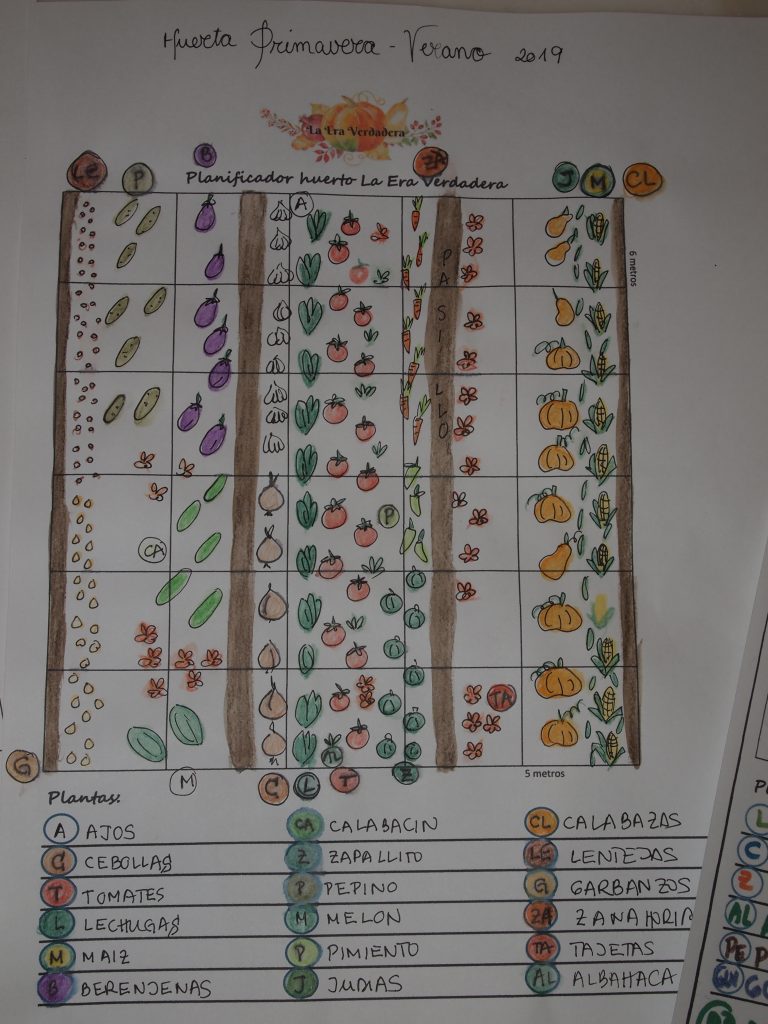 Planificador huerta